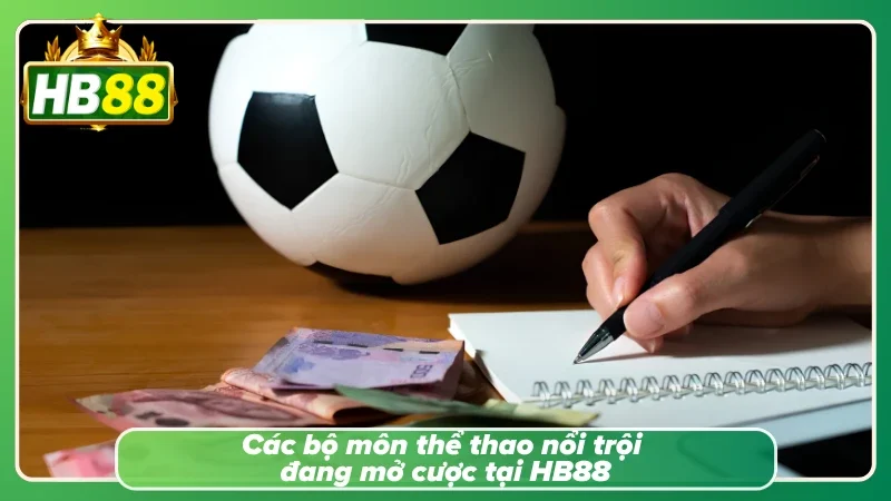 Danh sách các môn thể thao được nhiều hội viên lựa chọn tại sảnh
