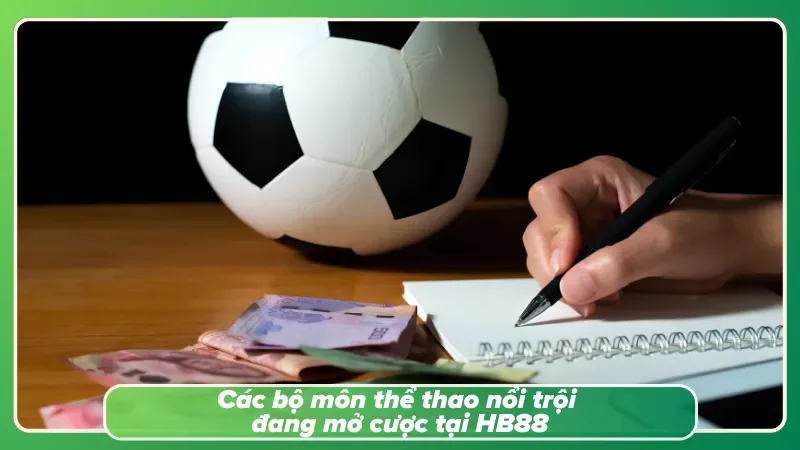 Danh sách các môn thể thao được nhiều hội viên lựa chọn tại sảnh