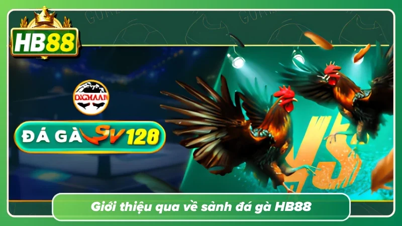 Điểm đến giải trí hấp dẫn hàng đầu cho người yêu thích đá gà