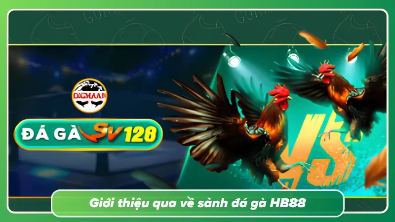 Điểm đến giải trí hấp dẫn hàng đầu cho người yêu thích đá gà
