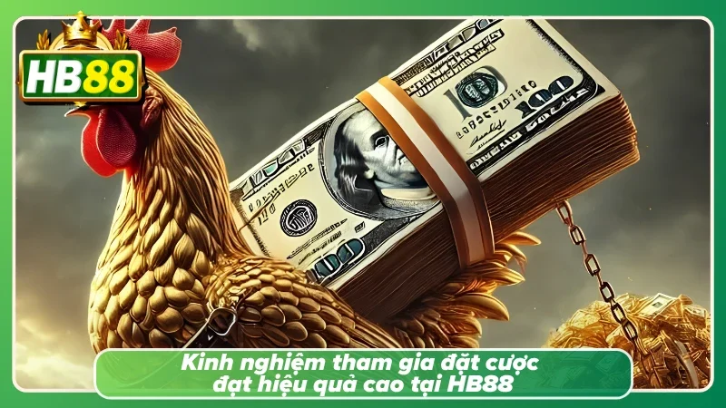 Những kinh nghiệm giúp theo dõi các trận đá gà HB888 hiệu quả hơn