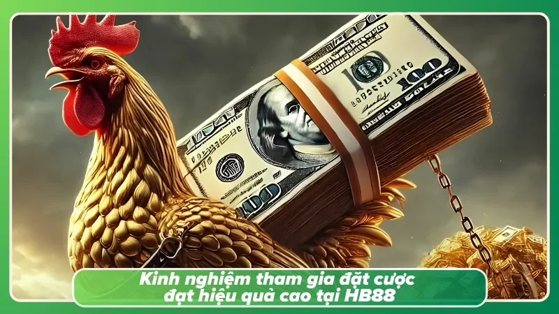 Những kinh nghiệm giúp theo dõi các trận đá gà HB888 hiệu quả hơn
