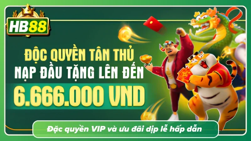 Đặc quyền từ chương trình VIP và các dịp lễ kỷ niệm