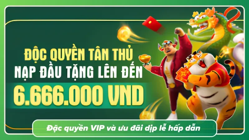 Đặc quyền từ chương trình VIP và các dịp lễ kỷ niệm