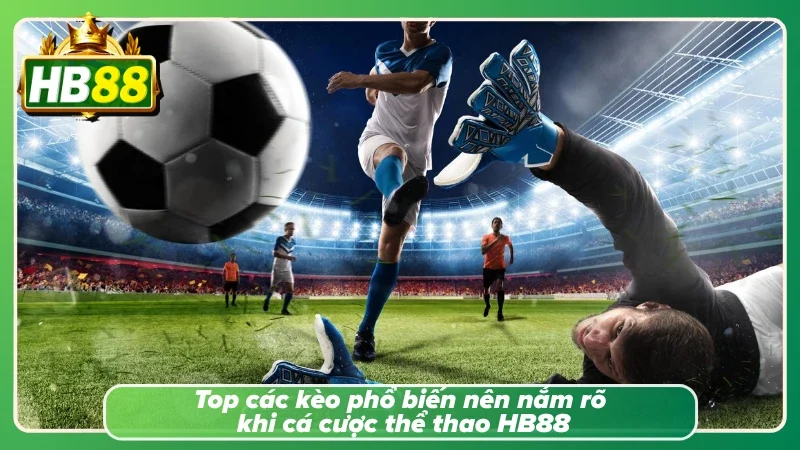 Hiểu rõ từng ngóc ngách của hệ sinh thái nơi đây