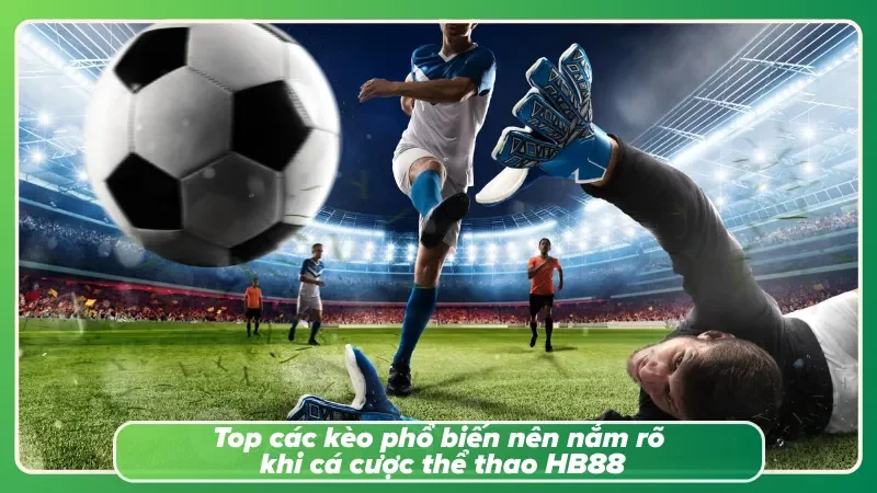 Hiểu rõ từng ngóc ngách của hệ sinh thái nơi đây