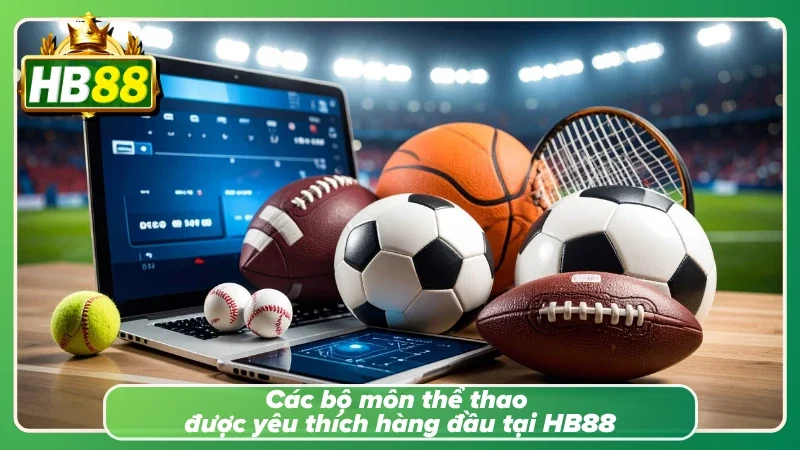 Sơ lược các bộ môn thể thao được yêu thích