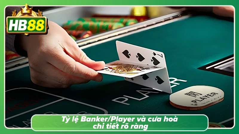 Nắm chắc trong tay tỷ lệ cược của các cửa