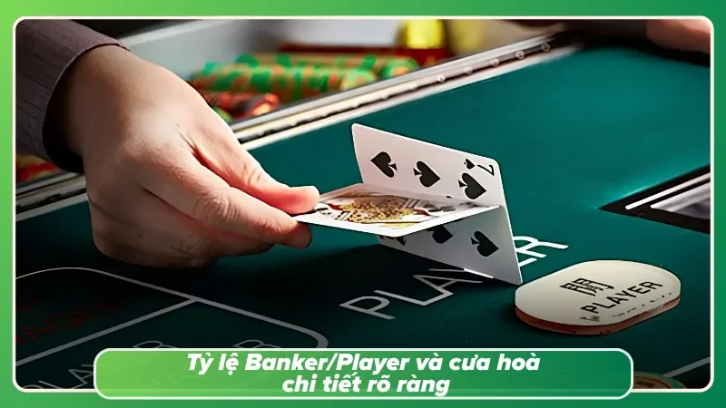 Nắm chắc trong tay tỷ lệ cược của các cửa