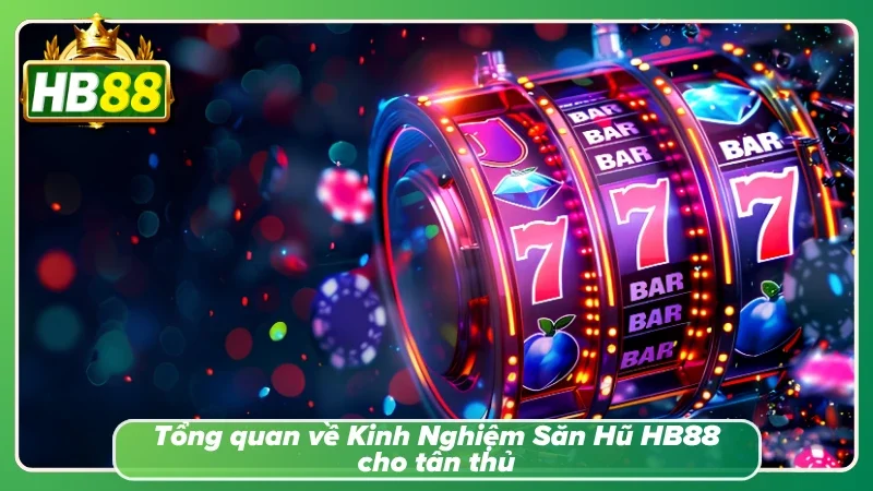 Người thắng lớn thường bắt đầu từ việc hiểu đúng cách vận hành