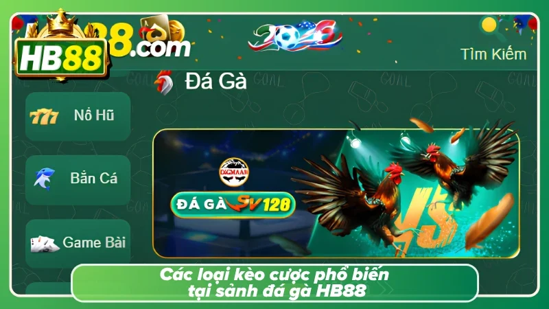 Tìm hiểu các loại kèo phổ biến của nhà cái