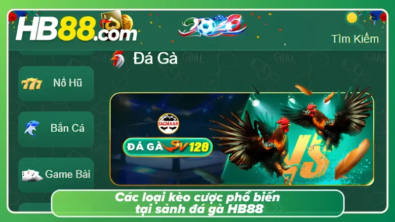 Tìm hiểu các loại kèo phổ biến của nhà cái