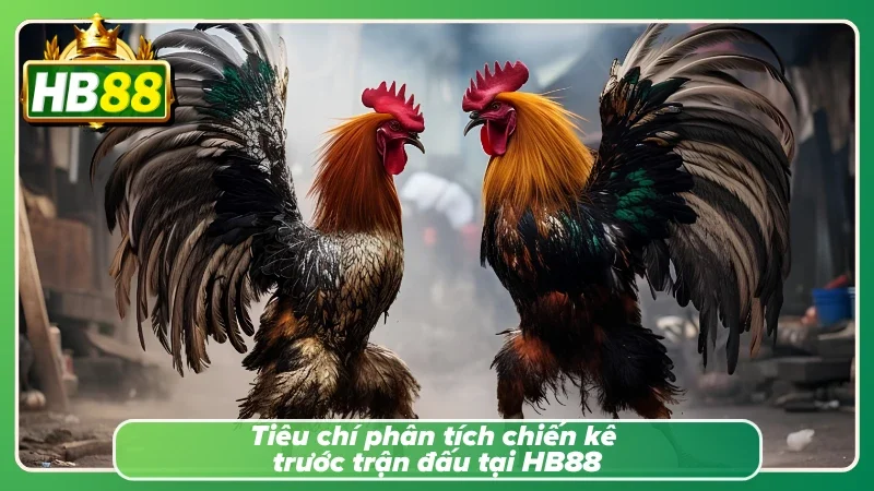 Hướng dẫn chọn và phân tích từng chiến kê