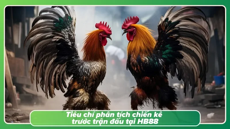 Hướng dẫn chọn và phân tích từng chiến kê