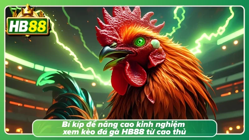 Đọc rõ cẩm nang nâng cao từ các cao thủ