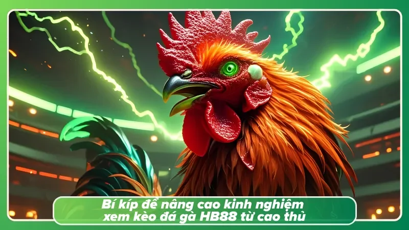 Đọc rõ cẩm nang nâng cao từ các cao thủ