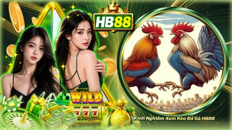 Kinh Nghiệm Xem Kèo Đá Gà HB88
