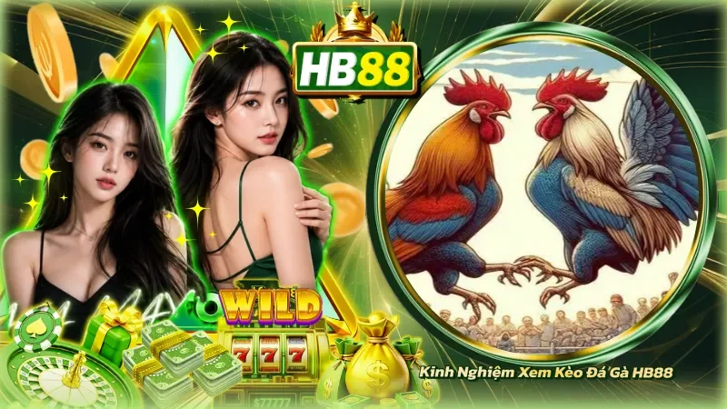 Kinh Nghiệm Xem Kèo Đá Gà HB88